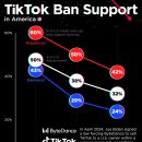 차트: TikTok 금지를 지지하는 미국인의 비율 이미지