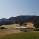 소피아그린 이미지