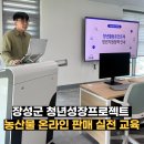 장성농장 | 장성군 청년센터 농산물 온라인 판매 교육 후기, 스마트스토어·크라우드펀딩·SNS 마케팅 실전