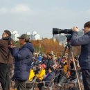 스타커머스 네이버블로그