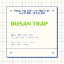 금수카써비스 | 부산트랩의 카니발 차량과 프라이빗 투어 | 부산 투어 1일차 후기