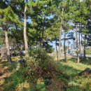 보담애월 이미지