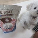 두루 | 강아지 눈물사료 추천 | 7개월 미니비숑 두루 연어 황태 사료 급여 후기