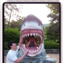 대명월드투어