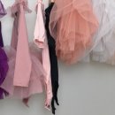 레아네팜 이미지