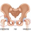 CM Fitness 이미지