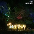 달빛 1교 | 노원달빛산책 2024 개막식 아이랑 방문 후기