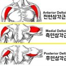 에스오짐 이미지