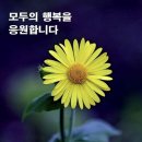 치 졸 한 생 각 / 질 그 릇 의 보 배 로 움 이미지