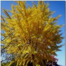 지리산 다온 이미지