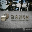 금융감독원 이미지