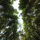 남구-063 이미지