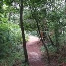 개비리길 펜션 이미지