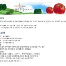 [2010-04-04 ~ 2010-04-05] 제10회 대저토마토축제 이미지