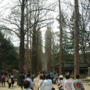 기화유스호스텔 이미지