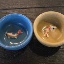 대야하이빌3차 | 상동역 이자카야 솔직후기[이자카야 공간 부천상동본점]