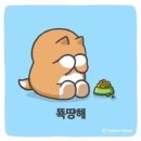 올레카페 - 연천군 연천로 256-1 | 올레카페