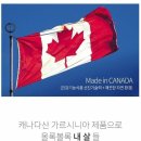 에이스바디 이미지