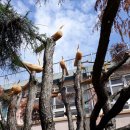 신반중학교 이미지