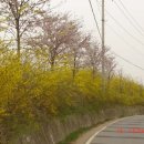 하성상회 이미지