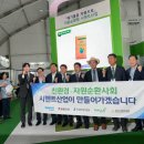 시멘트 이미지