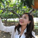 이화파크 이미지