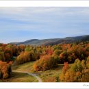 로렌시아 이미지