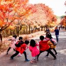 나무숲소 이미지