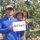 거창중추농장 쿠키뉴스
