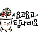 좋은아침pastry 이미지