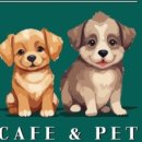 솔카페(Sol Cafe) 이미지