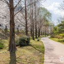 천변3호 이미지