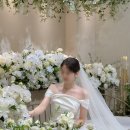 헤브즈 | [아이폰스냅] 셀럽앤어셈 헤브즈스냅 촬영 후기