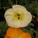 수지미래공인중개사사무소 이미지