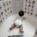 183일 아기 터미타임+눈 자극용! 마이앤트병풍 솔직 후기
