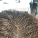 엔젤잉크 이미지