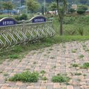 안성 조령천 | 안성여행&gt; 자전거 여행으로 힐링되는 &#34;두리마을&#34; / 조령천 자연예술공원