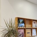 스테이 오후 이미지