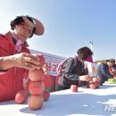 제15회 청송사과축제 이미지
