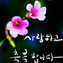 동삼1동행정복지센터 이미지