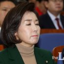 검찰, '나경원 사학비리 의혹' 3차 고발인 조사 이미지