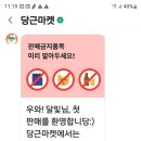 와~ 빛의 속도로 딩동댕, 놀랍기도 하고 신기해요 이미지