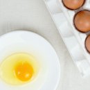 알로3 농장 이미지