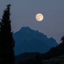 요가MOON 네이버블로그