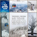 고제농협앞 Daum카페
