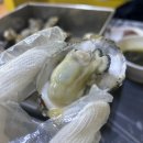 목포 초심회포차/초심수산 : 목포역/삼학동에서 겨울맞이 석화찜 즐긴날