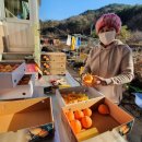 최재용농장 이미지