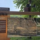 울주 대곡리 반구대 암각화 이미지