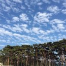 덕적보건지소 이미지