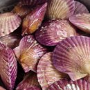 고연경로당 이미지